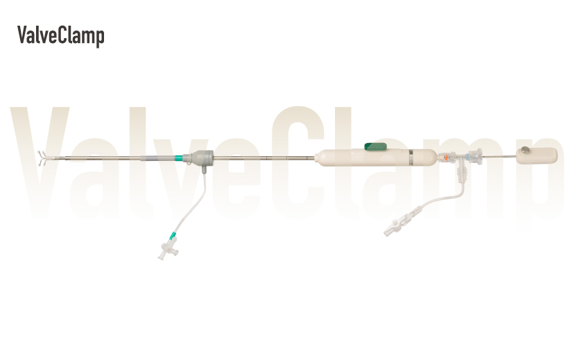 ValveClamp<sup>?</sup>