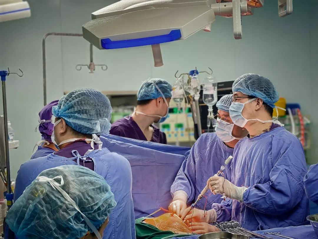 成都市第五人民醫(yī)院成功開展首例ValveClamp?經(jīng)心尖二尖瓣夾合術 打破瓣膜治療新壁壘